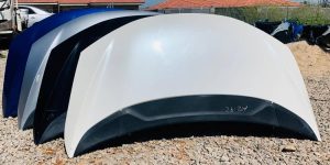 WhatsApp Image 2025-03-13 at 12.02.11